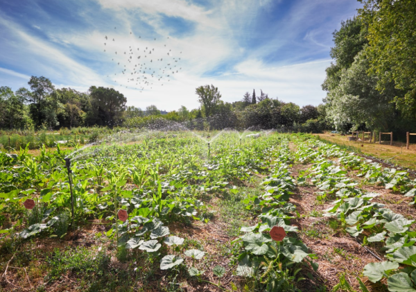 La cantine 100 % Bio, symbole d&rsquo;une transition alimentaire&nbsp;durable